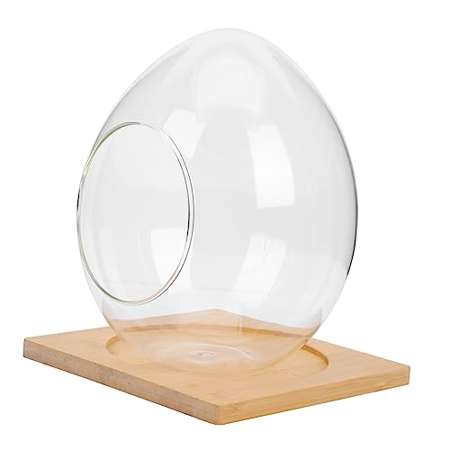 Hemobllo 1Satz Mikrolandschaft Flasche Ökologische DIY Vase Für Hydroponische Pflanzen Großes Design Mit Unterlage Für Dekoration Im Innen Und Außenbereich von Hemobllo