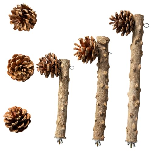 Hemobllo 1satz Holzspielzeug Für Vögel Teiliges Natürlichem Pfefferholz Mit Perch Und Dekorativen Kiefernzapfen Für Papageien Und Andere Vögel Langlebig Und Für Vogelheim Hemobllo 1satz Holzspielzeug Für Vögel Teiliges Natürlichem Pfefferholz Mit Perch Und Dekorativen Kiefernzapfen Für Papageien Und Andere Vögel Langlebig Und Für Vogelheim von Hemobllo