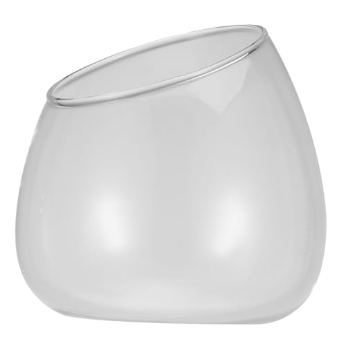 Hemobllo 1Stück Mikroökologische Glasvase für Sukkulenten Transparentes Terrarium mit Kreativem Design Robustes Blumenglas für Pflanzen Dekoration von Hemobllo