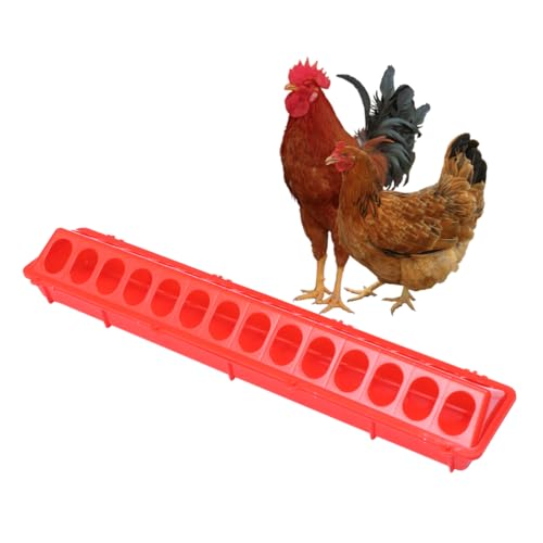 Hemobllo 1stück Pigeon Feeding Trough Für Kleine Vögel Futterspender Für Tauben Papageien Und Wellensittiche Roter Futterbehälter Mit Einfachem Nachfüll Und Reinigungsdesign von Hemobllo