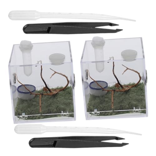 Hemobllo 2 Sätze Reptilien Zuchtbox mit Werkzeugen Transparentes Springspinnen Terrarium Leichte und Bruchsichere Aufzuchtdose für Spinnen und Insekten Habitat für Reptilienfreunde von Hemobllo