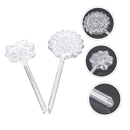 Hemobllo 2 Stück Glastränke groß Pflanzen Selbstbewässerung Glühbirnen Bewässerungssystem Garten Globen Watering System bewasserungsanlage Garden Decor Gießbirnen aus Glas Gartenwasserer von Hemobllo