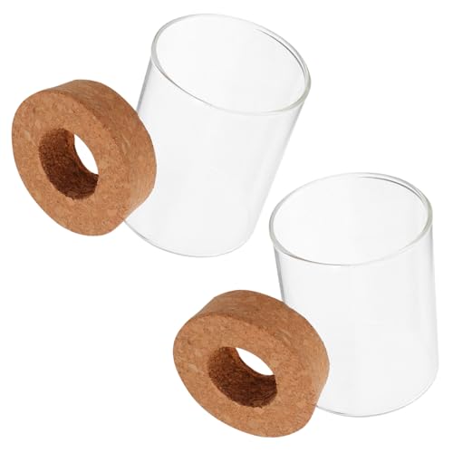 Hemobllo 2 Stück Hydrokultur Pflanzflaschenvasen Luft Pflanzgefäß Tisch Pflanzgefäß Aus Glas Hydrokultur Vase Glas Großes Gefäß Blumentöpfe Für Hydrokultur Lebensmittel Vorratsglas Hemobllo 2 Stück Hydrokultur Pflanzflaschenvasen Luft Pflanzgefäß Tisch Pflanzgefäß Aus Glas Hydrokultur Vase Glas Großes Gefäß Blumentöpfe Für Hydrokultur Lebensmittel Vorratsglas von Hemobllo