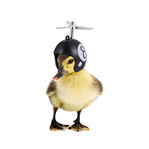 Hemobllo 2 Stück Kreatives Neues Heimtierzubehör Lustiger Schutz Hühnerhelm Henne Schutzhelm Vogelhut Kopfbedeckung Heu Meerschweinchenkäfig Einlagen Käfige Hut Für Vogel Meerschweinchen von Hemobllo