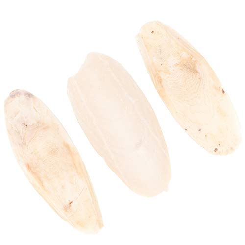 Hemobllo 3 Stück Cuttlebone-Beißspielzeug Papagei Vogel Barsch Ring Ara Hängematte Vogelkäfig knete knetspielzeug kalklöser Cuttlebone Kauspielzeug Haustier-Kauen-Anhänger Beige von Hemobllo