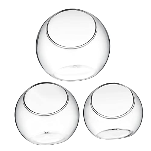 Hemobllo 3 Stück Hydroponik Bauchig Terrarienschale Blumenvase Luftpflanzentöpfe Tisch Luftpflanzentopf Inhaber Gießen Terrarium De Terrarienset Kugelvase Schüsseln Glas Transparent Hemobllo 3 Stück Hydroponik Bauchig Terrarienschale Blumenvase Luftpflanzentöpfe Tisch Luftpflanzentopf Inhaber Gießen Terrarium De Terrarienset Kugelvase Schüsseln Glas Transparent von Hemobllo