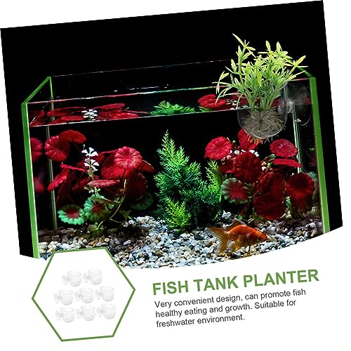 Hemobllo 8 Stück Teiliges Aquarium Pflanzenhalter aus Langlebigem mit Saugnapf Ovaler Pflanzbecher für Wasserpflanzen mit Wasserzirkulationslöchern Platzsparend für Fischbecken Dekoration von Hemobllo