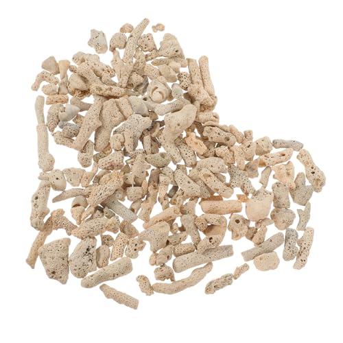 Hemobllo Aquarium Korallenfilter Medium Zerkleinerte Korallensteine Leichtes Vielseitiges Filtermaterial und Dekorative Aquarien Deko für Süßwasser Fischbecken und Teiche Hemobllo Aquarium Korallenfilter Medium Zerkleinerte Korallensteine Leichtes Vielseitiges Filtermaterial und Dekorative Aquarien Deko für Süßwasser Fischbecken und Teiche von Hemobllo