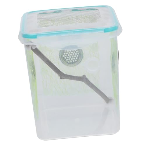 Hemobllo Box Vogelspinnengehege Mantis Aquarium Gehege Für Reptilien Habitat Gehege Kleiner Futterhalter Gecko Aquarium Reptilien Inkubator Spinnen Inkubator Habitat Inkubator Aus Holz Hemobllo Box Vogelspinnengehege Mantis Aquarium Gehege Für Reptilien Habitat Gehege Kleiner Futterhalter Gecko Aquarium Reptilien Inkubator Spinnen Inkubator Habitat Inkubator Aus Holz von Hemobllo