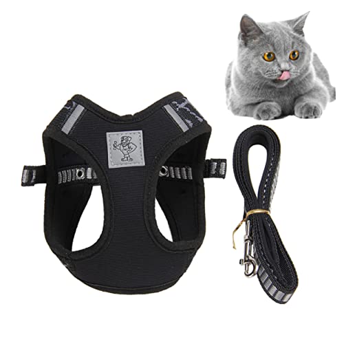 Hemobllo Brustgurt Für Haustiere Größe M Für Kätzchen Und Katzen Leicht Hello Zubehör Für Drinnen Und Draußen Schwarz von Hemobllo