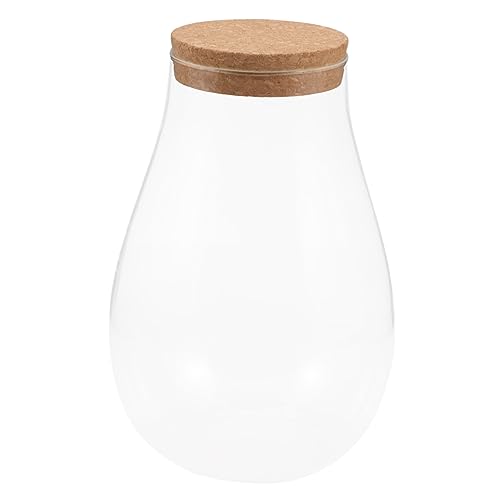 Hemobllo DIY Bryophyten Ökologieglasflasche Für Betta Fische Hydroponische Pflanzenterrarium Glasflasche Pflanzenvermehrungsstation Korken Für Innenräume von Hemobllo