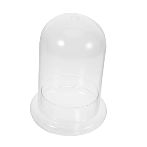 Hemobllo Einzigartiges Terrarium Aus Glas Für Mikrolandschaften, Dekoratives Aquarium, DIY-mikrolandschaftsvase Für Heimdekoration Und Büroschreibtisch, Transparente Vase von Hemobllo