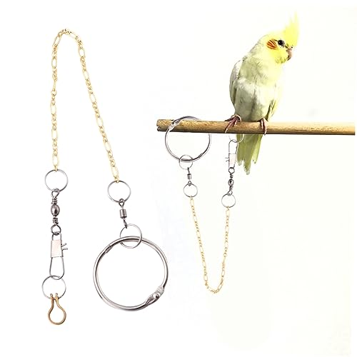 Hemobllo Fußkettchen Für Vögel Zubehör Papagei Vogelgeschirr Kette Groß Vögel Fußkettchen Silver von Hemobllo