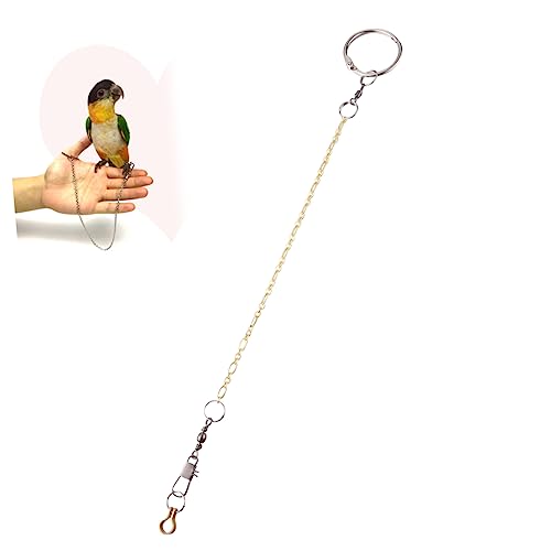 Hemobllo Fußkettchen für Vögel Beinringe für Papageien groß Vogelgeschirr Kette Gold vogelkäfig zubehör vogelzubehör für käfig Vogelbeinring Vögel Fußkettchen Papagei Fuß Fußkettchen Silver Hemobllo Fußkettchen für Vögel Beinringe für Papageien groß Vogelgeschirr Kette Gold vogelkäfig zubehör vogelzubehör für käfig Vogelbeinring Vögel Fußkettchen Papagei Fuß Fußkettchen Silver von Hemobllo