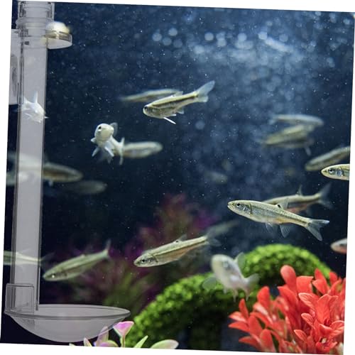 Hemobllo Futterrohr für Garnelen und Fische Wandmontierbarer Aquarium Futterspender Transparente Röhre mit Reinigungsbürste und Auftriebskreis Einfache Geeignet für Garnelenfutterschale Hemobllo Futterrohr für Garnelen und Fische Wandmontierbarer Aquarium Futterspender Transparente Röhre mit Reinigungsbürste und Auftriebskreis Einfache Geeignet für Garnelenfutterschale von Hemobllo