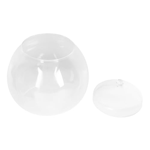 Hemobllo Glasfischtank Für Moos Pflanzen DIY Ökosystem Für Schreibtisch Und Innenräume Transparenter Betta Und Goldfischtank Wohnaccessoire Zur Verschönerung von Hemobllo