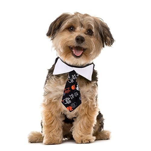 Hemobllo Halloween-krawattenkragen Für Haustiere Hundekragen Halloween Zubehör Party Nacken Spaß Halsband Für Welpen Urlaub Halloween-haustierschal Halsband Für Hunde Binden Groß Baumwolle von Hemobllo