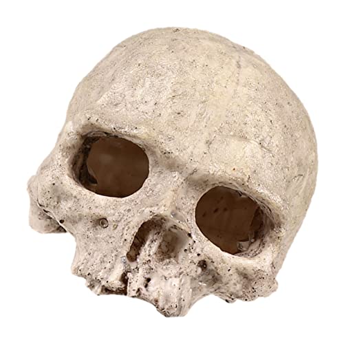 Hemobllo Harzschädel Aquarium Ornament Fischtank Versteck für Garnelen und Kleine Fische Langlebige Dekoration für Terrarien und Aquarien Humaner Schädel mit Natürlichem Look Hemobllo Harzschädel Aquarium Ornament Fischtank Versteck für Garnelen und Kleine Fische Langlebige Dekoration für Terrarien und Aquarien Humaner Schädel mit Natürlichem Look von Hemobllo