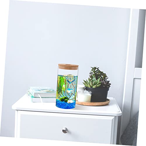 Hemobllo Hochborosilikat Glasflasche für DIY Mikrolandschaft Zylindrischer Terrarienbehälter für Pflanzen Dekorativer Ökoflaschenbehälter für Moos und Steine für Wohnzimmer von Hemobllo