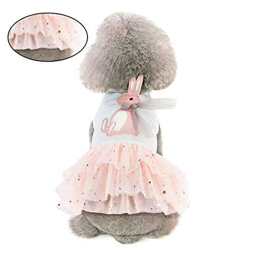 Hemobllo Lovely Pet Dress Für Hunde Lace Tutu Skirt Einteiler Für Kleine Hunde Hundekleidung Für Partys Und Feiertage Hemobllo Lovely Pet Dress Für Hunde Lace Tutu Skirt Einteiler Für Kleine Hunde Hundekleidung Für Partys Und Feiertage von Hemobllo