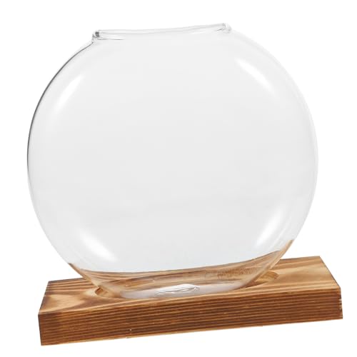 Hemobllo Hydroponische Vase Fenster Anzuchtstationen Desktop Anzuchtstation Anzuchtvasen Anzuchtständer Anzuchtpflanzenhalter Terrarium Anzuchtgläser Glas Transparent Hemobllo Hydroponische Vase Fenster Anzuchtstationen Desktop Anzuchtstation Anzuchtvasen Anzuchtständer Anzuchtpflanzenhalter Terrarium Anzuchtgläser Glas Transparent von Hemobllo