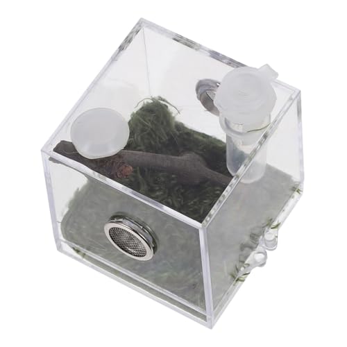 Hemobllo Kasten Heimtierbedarf Spinne Lebensraum Fall acrylbehälter glasgefäß Insekten Terrarium Insekten Behälter durchsichtige Boxen luftbefeuchter Container Lebensraum Käfig Gehäuse Tank von Hemobllo