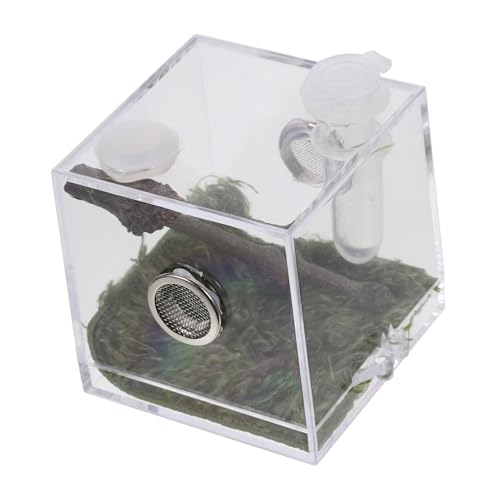 Hemobllo Kasten Springspinnen-Zuchtbox Spinnen-Streichspielzeug springende Spinne Spinnenhaus Gecko acrylbehälter glasgefäß luftbefeuchter Lebensraum Käfig Spinnen-Schlüpfbehälter aus Acryl von Hemobllo