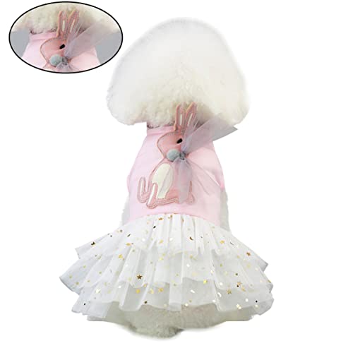 Hemobllo Kleid Für Hunderassen Hunde Outfit Kaninchen Hundekleidung Haustier Welpenkleider Hundezubehör Kostüme Für Hunde Süßes Welpenzubehör In Haustiergröße Kleine Mini Spitzen Hemobllo Kleid Für Hunderassen Hunde Outfit Kaninchen Hundekleidung Haustier Welpenkleider Hundezubehör Kostüme Für Hunde Süßes Welpenzubehör In Haustiergröße Kleine Mini Spitzen von Hemobllo