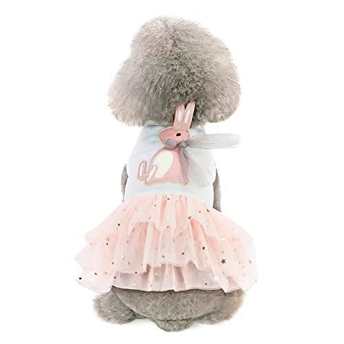 Hemobllo Kleid Für Kleine Outfits Xx Fancy Party Pet Ups Hundeanzug Welpenhundekleidung Tutu Rock Hundekostüm Hunde Outdoor Kleidung Weiß von Hemobllo