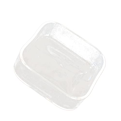 Hemobllo Kleiner Futternapf Sphagnum Hamster Chamäleon Reptilien-Wärmebirne Schwimmbad small Animal Food Glasfutterbehälter schleichtiere Reptiliennapf Futterschale für Eidechsen von Hemobllo