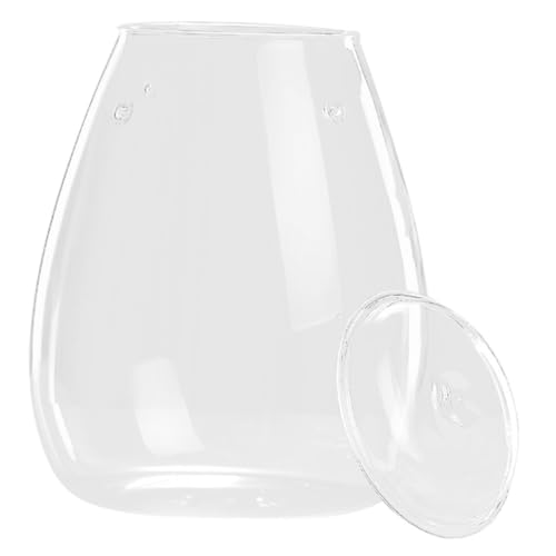 Hemobllo Mikro-Landschaftsflasche büro deko Office deko hausdeko deko für esstisch anrichte Wohnzimmer Flaschenterrarium drinnen Anlage transparent Terrarienflasche Glastöpfe für Pflanzen von Hemobllo