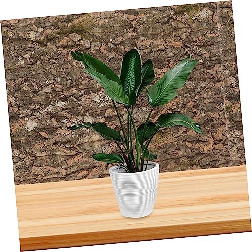 Hemobllo Natürliche Korkrinde Terrarium Rückwand Reptilien Kletterplattform Feuchtigkeitsresistent für Schildkröten Schlangen Zubehör Terrarium Dekoration Hemobllo Natürliche Korkrinde Terrarium Rückwand Reptilien Kletterplattform Feuchtigkeitsresistent für Schildkröten Schlangen Zubehör Terrarium Dekoration von Hemobllo