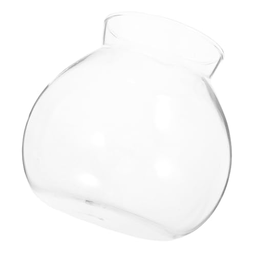 Hemobllo Ökologische Mikrolandschaftsflasche Tischplatte Tischaquarium Anlage Mini Pflanzen Blume Fischzubehör Decke Tank groß Krug Glas mit hohem Borosilikatgehalt Transparent Hemobllo Ökologische Mikrolandschaftsflasche Tischplatte Tischaquarium Anlage Mini Pflanzen Blume Fischzubehör Decke Tank groß Krug Glas mit hohem Borosilikatgehalt Transparent von Hemobllo