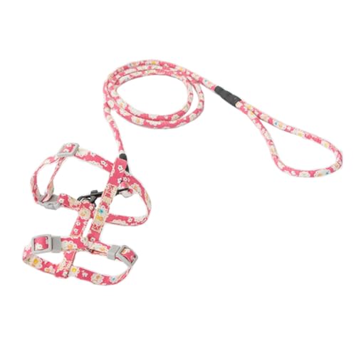 Hemobllo Pet Chest Strap für Verstellbares Langlebiges Geschirr mit Leine für und Outdoor Aktivitäten für Kleine Haustiere Zufällig Zufällige Farbe Hemobllo Pet Chest Strap für Verstellbares Langlebiges Geschirr mit Leine für und Outdoor Aktivitäten für Kleine Haustiere Zufällig Zufällige Farbe von Hemobllo