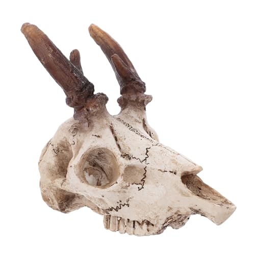 Hemobllo Reptilienversteck Resin Hirschschädel Mittelgroß Terrarium Dekoration Wüstenlandschaft Aquarium Ornament Langlebig Gesundheitsfördernd Geeignet für Schlangen Bartagamen Haustiere Hemobllo Reptilienversteck Resin Hirschschädel Mittelgroß Terrarium Dekoration Wüstenlandschaft Aquarium Ornament Langlebig Gesundheitsfördernd Geeignet für Schlangen Bartagamen Haustiere von Hemobllo