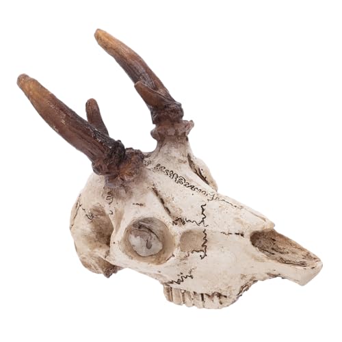 Hemobllo Reptilienversteck aus Resin Mittelgroßer Elchschädel für Aquarium und Terrarien Dekoration Kletter und Versteckzubehör für Bartagamen und Schlangen Gesundes Lebensraumdesign Hemobllo Reptilienversteck aus Resin Mittelgroßer Elchschädel für Aquarium und Terrarien Dekoration Kletter und Versteckzubehör für Bartagamen und Schlangen Gesundes Lebensraumdesign von Hemobllo