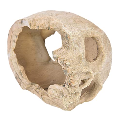 Hemobllo Resin Skull Aquarium Ornament aus Stabilem Harz Natürliche Terrarium Dekoration für Fischbecken und Reptilien Fischfreundliches Skull Modell für Aquarium und Terrarien Langlebiges von Hemobllo