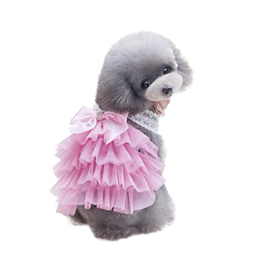 Hemobllo Rock Hundezubehör Hundeoutfit Hundeshirts Hundekostüme Knochenhalsbänder Für Hunde Und Katzen Hundehochzeit Hundewindeln Hund Für Kleine Hunde Mädchen Hundekleidung Hemobllo Rock Hundezubehör Hundeoutfit Hundeshirts Hundekostüme Knochenhalsbänder Für Hunde Und Katzen Hundehochzeit Hundewindeln Hund Für Kleine Hunde Mädchen Hundekleidung von Hemobllo