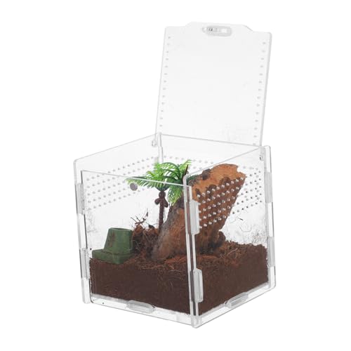 Hemobllo Spinnenbox für Haustiere Tarantula -Gehäuse Frosch-Panzer Stapelbares Reptilienterrarium Cricketkäfig Mikrolebensraum Echsenkäfig Mini -Terrarium Geckobecken Acryl Hemobllo Spinnenbox für Haustiere Tarantula -Gehäuse Frosch-Panzer Stapelbares Reptilienterrarium Cricketkäfig Mikrolebensraum Echsenkäfig Mini -Terrarium Geckobecken Acryl von Hemobllo