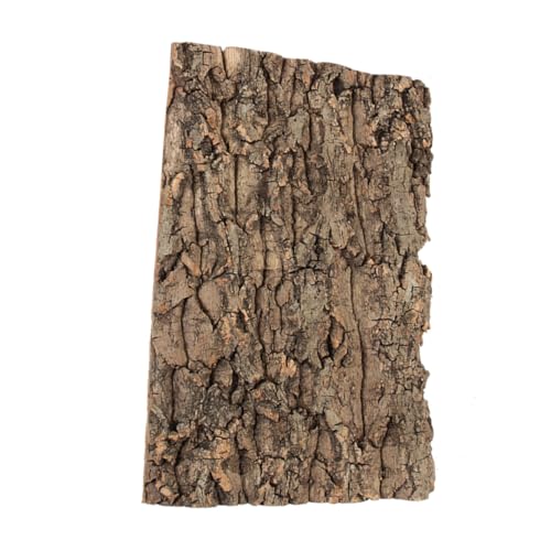 Hemobllo Terrarium-champagnerrinde Hintergrund Für Reptilienbecken Reptilienhintergrundbrett Korkenrinde Dekorationen Für Aquarienzubehör Fischtankdekoration Coffee von Hemobllo