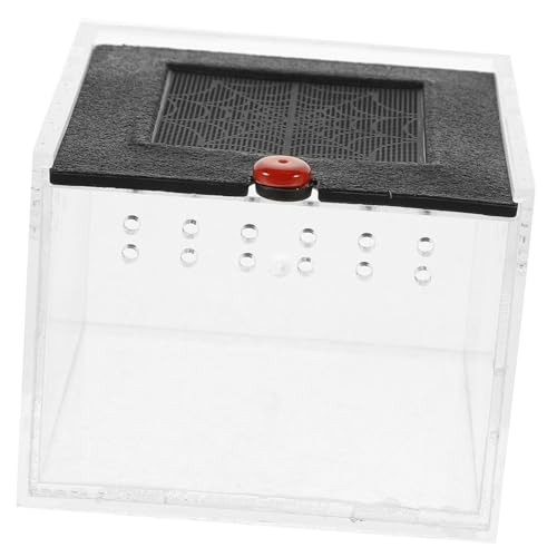 Hemobllo Transparenter Acrylbehälter mit Lüftung für Reptilien und Insekten Klares Terrarium Zubehör Futterbox für Springspinnen Geckos Skorpione und Kleine Haustiere Leicht zu Reinigen von Hemobllo