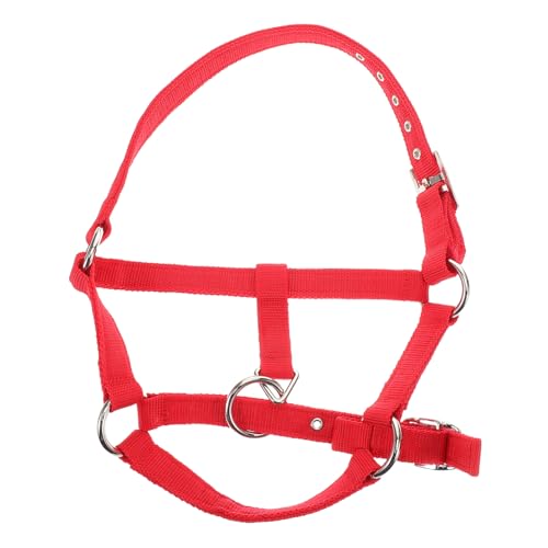 Hemobllo Verstellbares Halfter und Führstrickset für Reitausbildung mit Gepolstertem Nylonmaterial für Sicheren und Komfortablen Gebrauch für Effektives Training Hemobllo Verstellbares Halfter und Führstrickset für Reitausbildung mit Gepolstertem Nylonmaterial für Sicheren und Komfortablen Gebrauch für Effektives Training von Hemobllo