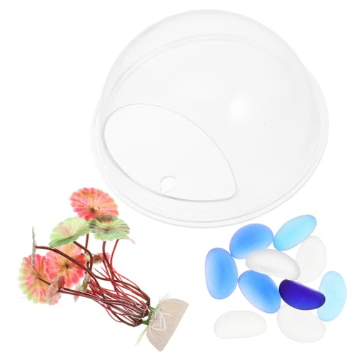 Hemobllo Wandmontierter Fischbowl Aquarium für Fische oder Pflanzen Durchmesser Transparentes Design zur Dekoration Ihres Platzsparenden Wandgestaltung Hemobllo Wandmontierter Fischbowl Aquarium für Fische oder Pflanzen Durchmesser Transparentes Design zur Dekoration Ihres Platzsparenden Wandgestaltung von Hemobllo