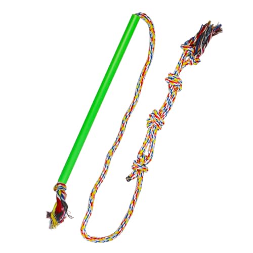 Hemobllo jagen Teaser interaktives hundeerziehung Dog Activity Dog Toy hundetraining Hundespielzeug Welpenspielzeug lustig klein Haustier-Teaser-Stange Hund Teaser Green Hemobllo jagen Teaser interaktives hundeerziehung Dog Activity Dog Toy hundetraining Hundespielzeug Welpenspielzeug lustig klein Haustier-Teaser-Stange Hund Teaser Green von Hemobllo