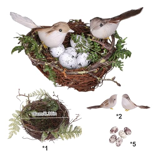 Vogelnestdekor, 6, 3 Zoll realistische Plastik -Rattan -Vogelhäuser mit 2 Vögeln und 5 Eiern für Gartenhof Home Osterdekor, Nester für Handwerk, Nest Vogelnestdekor, 6, 3 Zoll realistische Plastik -Rattan -Vogelhäuser mit 2 Vögeln und 5 Eiern für Gartenhof Home Osterdekor, Nester für Handwerk, Nest von Hemore