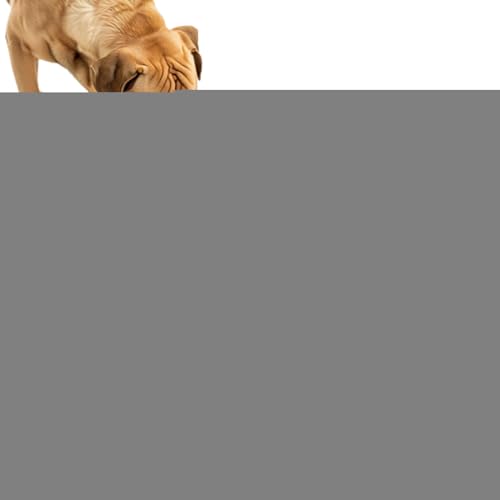 Hemousy Slow Feed Chew and Fetch Crocodile, Dog Puzzle Slow Feeder Toy, Cute Rubber Alligator Dog Chew Toys for Aggressive Chewers von Hemousy