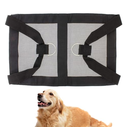 Hemousy Ziegenskala -Schlinge, Kalbskala -Schlinge - Nylon -Gewichtsgrößenschlungen für kleine Tiere - Nonslip Vieh -Hebekabelbaum mit einstellbaren Gurten für Kälber, Ziegen, Welpen, Lämmer Hemousy Ziegenskala -Schlinge, Kalbskala -Schlinge - Nylon -Gewichtsgrößenschlungen für kleine Tiere - Nonslip Vieh -Hebekabelbaum mit einstellbaren Gurten für Kälber, Ziegen, Welpen, Lämmer von Hemousy