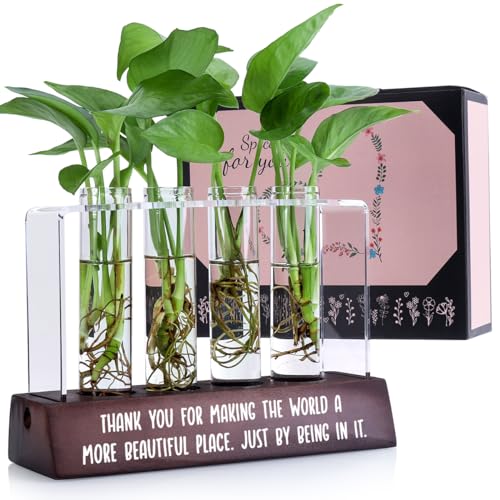 Thank You Gifts for Women Men Teacher Appreciation Gifts Birthday Gifts for Friends Coworker Mom Aunt Sister Grandma Going Away Gifts for Coworker Desktop Plant Propagation Station Home Garden Decor von Henghere