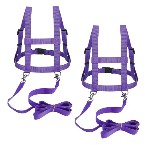 2 PCS Pferdeleine zum Spielen für Kinder, Verstellbares Pferdeleine Kinder, Pferdegeschirr für Kinder zum Spielen mit Extra Langer Leine, Pferdegeschirr Kinder für Jungen Mädchen Rollenspiel (Violett) 2 PCS Pferdeleine zum Spielen für Kinder, Verstellbares Pferdeleine Kinder, Pferdegeschirr für Kinder zum Spielen mit Extra Langer Leine, Pferdegeschirr Kinder für Jungen Mädchen Rollenspiel (Violett) von Hengrongshen