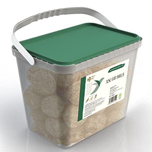 Henry Bell Meisenknödel, 4 kg, 50 Stück, transparent Henry Bell Meisenknödel, 4 kg, 50 Stück, transparent von Henry Bell